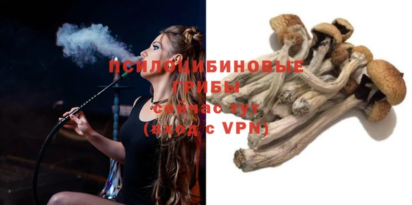 MESCALINE Аркадак