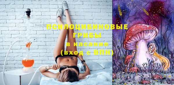 MESCALINE Аркадак