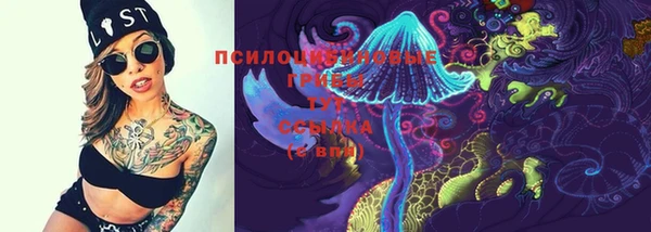 MESCALINE Аркадак
